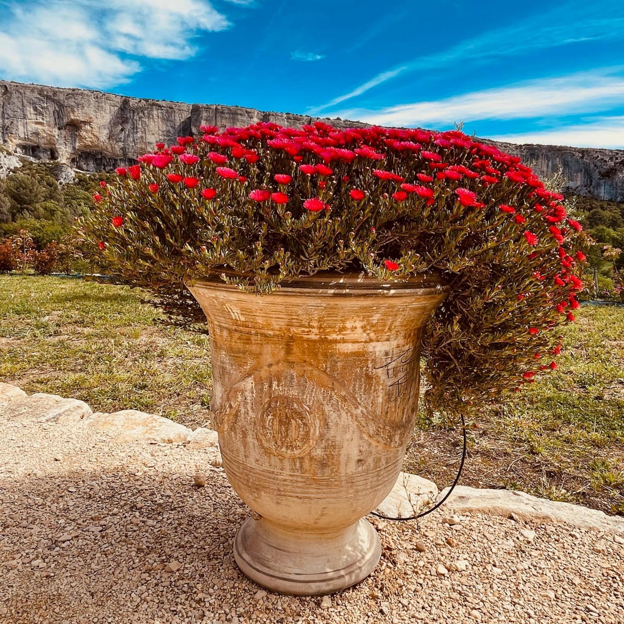 Gite La Madeleine Du Luberon. Lioux Ngoại thất bức ảnh
